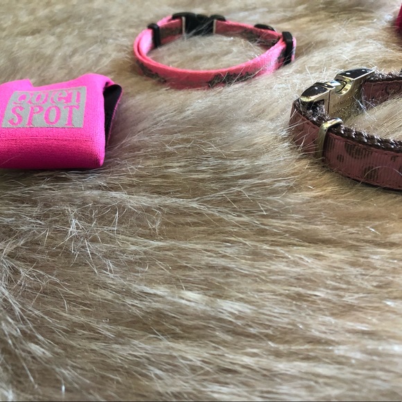 XS pet collar collection - Picture 3 of 6